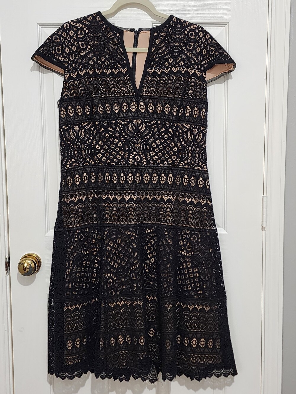 Tadashi Shoji - Knee Length Black Lace Overlay A-Line Dress with Nude Lining